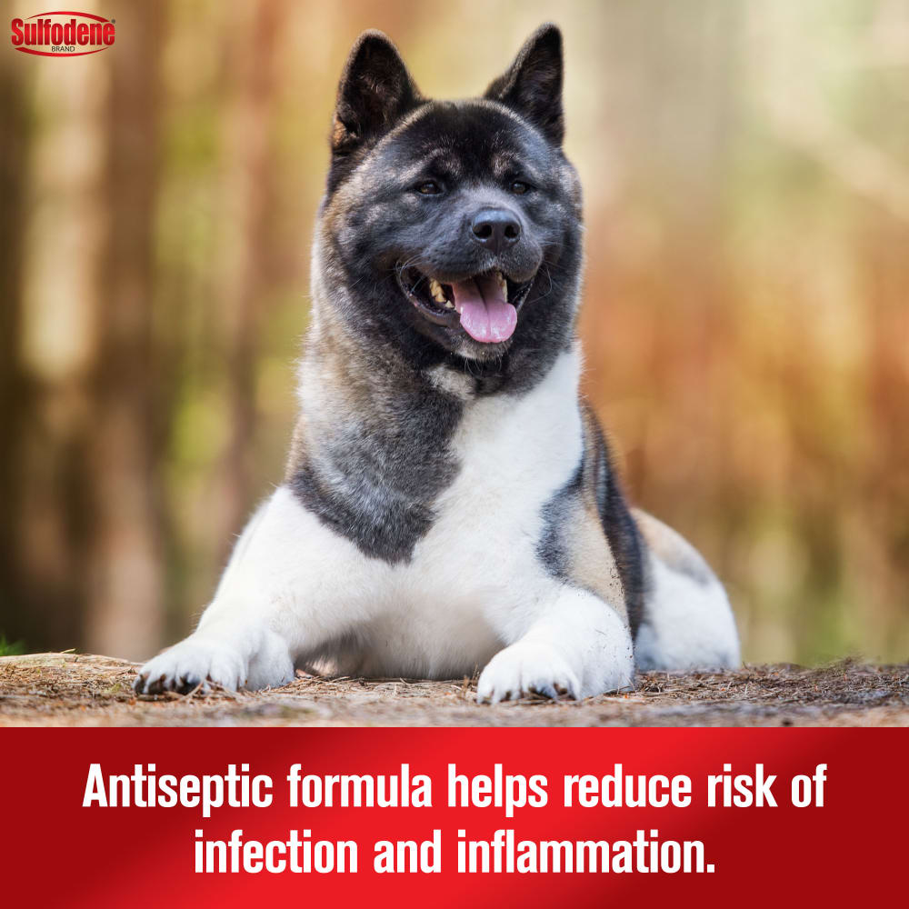 21-56954c-sd-earcleanerantiseptic-dogcat-amazon-atf-image03-m1
