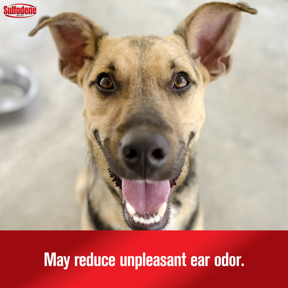21-56954c-sd-earcleanerantiseptic-dogcat-amazon-atf-image05-m1