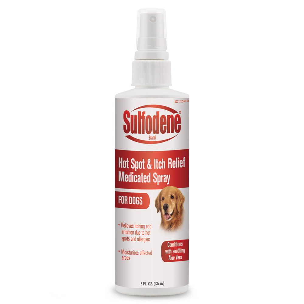 100526770-sd-hotspotitchreliefmedicatedspray-8oz-pumpbottle-pr-f-201611